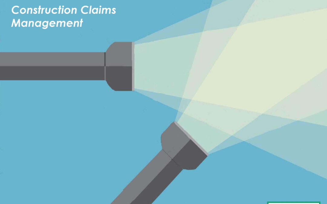 Stoneboy Services for Construction Claims